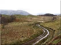 NM9829 : Track, Barguillean by Richard Webb