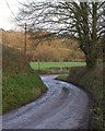 Lane near Bridge Farm