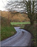 SS6502 : Lane near Bridge Farm by Derek Harper