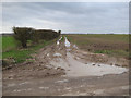 TL7093 : Farm track off Hythe Road by Hugh Venables