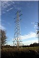 Electricity Pylon near the Millennium Greenway.