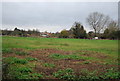 Field by Hayle Place