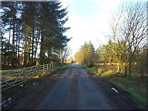 NS8277 : Cadgersloan, road towards Lochgreen by Robert Murray