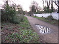 The Parkland Walk, looking south