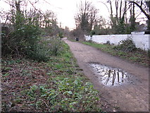 TQ3187 : The Parkland Walk, looking south by Dr Neil Clifton