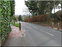 SU0300 : Middlehill Road, Colehill by Alex McGregor