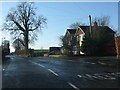 Houses on Pexhill Road