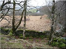 SH7257 : Field corner in the flood plain of the Afon Llugwy at Capel Curig by Jeremy Bolwell