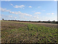 Kiln Field/Gate Field