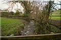 The view upstream from a footbridge on Coney Gut at Coombe Farm