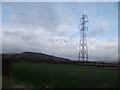 Field, pylon and crows