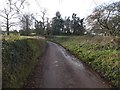 Patch of woodland beside Knowle Lane