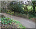 Bridge/Culvert on a very minor road