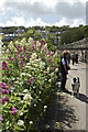 Footpath to The Warren Car Park St Ives