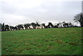 Field above Winterbourne Abbas