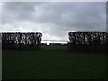 Field entrance, Crag Hill