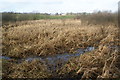 The Manchester, Bolton and Bury Canal near Scotson Fold