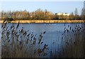 TA0932 : Oak Road park fishing pond, Hull by Paul Harrop