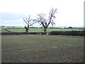 Farmland off Mains Lane