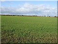 Farmland off the A61