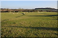 SO8961 : Field near Pulley Farm by Philip Halling