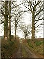 Field access track, Goldburn