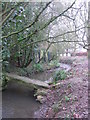 Stone bridge over stream