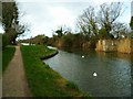 Approaching the site of the Selsey Tramway bridge over the Chichester Canal