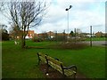 Seats and broken tree at Hunston