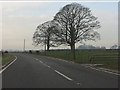 A41 near Ashford Grange