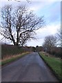 Brackenthwaite Lane