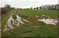 Muddy field, Narraton