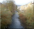 Rhondda Fawr river, Treherbert