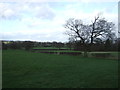 Farmland, Fern House Farm