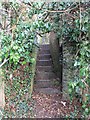 SP1658 : Tree and steps by old tramway embankment by David P Howard