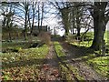 Hidden farmhouse, Tattymoyle