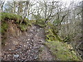 Steep path above Pont Rhyd-y-cnau