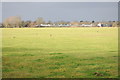 Farmland near Badgeworth