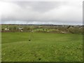 View from Syonfin hill fort