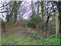 Footpath to Wash Road