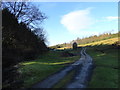 Looking along the stream to Burnmill