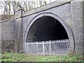 Dunton Bassett Tunnel