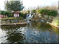 Japanese Water Garden, Hey Houses