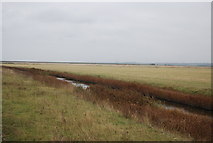 TQ7679 : Drainage ditch, Cooling Marshes by N Chadwick