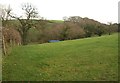 Valley near Wigdon Mill