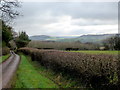 Long view to the Monnow gap