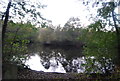 Flooded gravel pit, Blackwater Valley