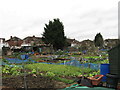 Stanley Avenue allotments, Greenford