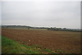 Farmland, West End