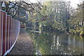 Footpath by the River Medway